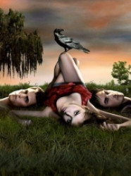 Capa de The awakening - L. J. Smith
