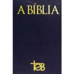 Capa de Bíblia TEB - Jesus