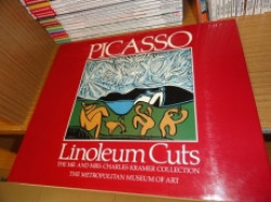 Capa de Picasso - 