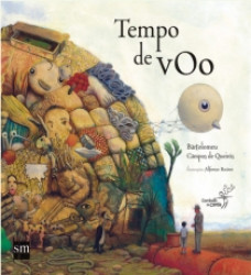 Capa de Tempo de voo - Bartolomeu Campos de Queirós