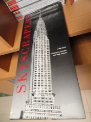 Capa de Skyscrapers - Judith Dupré