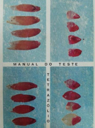Capa de Manual do Teste Tetrazólio - Ministério da Agricultura