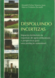 Capa de Despoluindo incertezas - Wendell Ficher Teixeira Assis e Marcos Cristiano Zucareli