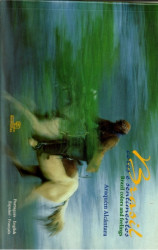 Capa de Brasil Cores e Sentimentos - Araquém Alcântara