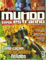 Capa de Mundo Estranho - 