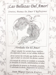 Capa de Las bellezas del amor! - Juan Miguel Garcia Estevez