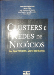 Capa de Clusters e redes de negócios - Sergio Baptista Zaccarelli Renato Telles João Paulo Lara de Siqueira João Maurício Gama Boaventura Denis Donaire