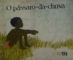 Capa de O Pássaro-da-chuva - Monique Bermond