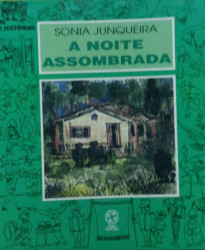 Capa de A noite assombrada - Sonia Junqueira