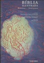 Capa de Bíblia Ilustrada Volume VIII - José Tolentino Mendonça - Ilda David