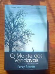Capa de O monte dos vendavais - Emily Bronte