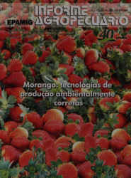 Capa de Morango - 