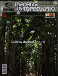 Capa de Cultivo da bananeira - 