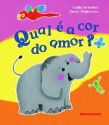 Capa de Qual é a cor do amor? - Linda Stachan; David Wojtowycz