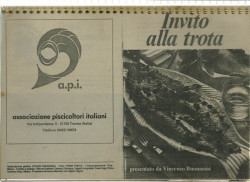 Capa de Invito alla Trota - BUONASSISI, Vincenzo