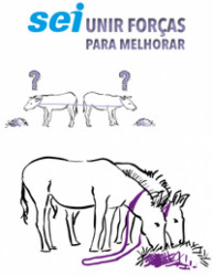 Capa de Sei Unir Forças Para Melhorar - SILVA, Lacy de Oliveira