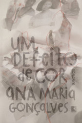 Capa de Um defeito de cor - Ana Maria Gonçalves