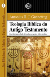 Capa de História de Israel - Antonius H. J. Gunnewg