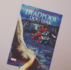 Capa de DEADPOOL DOG PARK - STEFAN PETRUCHA
