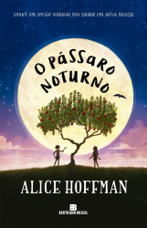 Capa de O pássaro noturno - Alice Hoffman