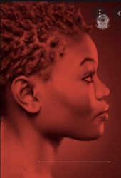 Capa de Repertório bibliográfico sobre a condição do negro no Brasil - Raphael Cavalcante, Clarissa Estrêla, Jair Ferreira, Simone Suganuma