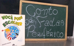 Capa de Você pode escolher - Regina Rennó