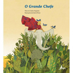 Capa de O grande chefe - Carlos Nogueira
