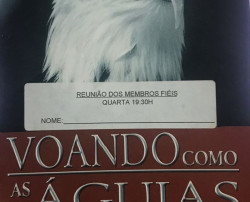 Capa de Voando como as águias - 