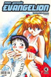 Capa de Neon Genesis Evangelion volume 12 - Yoshiyuki Sadamoto; Gainax