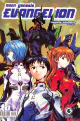 Capa de Neon Genesis Evangelion volume 10 - Yoshiyuki Sadamoto; Gainax
