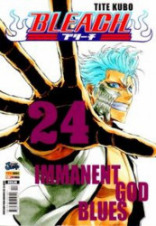 Capa de Bleach volume 24 - Tite Kubo