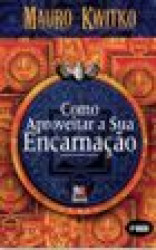 Capa de Como aproveitar a Sua Encarnação - Mauro Kwitko