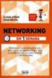Capa de Networking em 1 semana - Alison Straw; Dena Michel