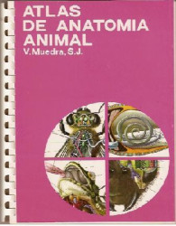Capa de Atlas de anatomia animal - V. Muedra; S. J.
