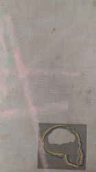 Capa de Las razas humanas - M. F. Nesturj