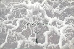 Capa de Rumor de Pétala - Wgnr