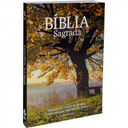 Capa de Bíblia Sagrada NAA - SBB