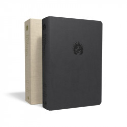Capa de A Bíblia de Estudo da Fé Reformada - R. C. Sproul