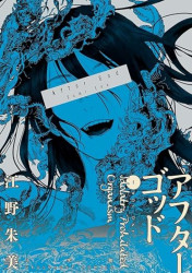 Capa de After God: Organização de idolatria proibida - Sumi Eno