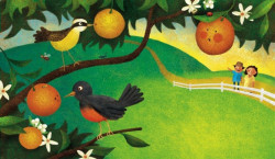 Capa de A laranja colorida - Ronaldo Simões Coelho