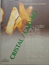 Capa de Cristal/carvão - Yone Giannetti Fonseca