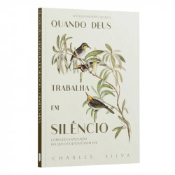 Capa de Quando Deus Trabalha em Silêncio - Charles Silva