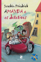 Capa de Amanda e os detetives - Joachim Friedrich
