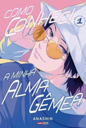Capa de Como conheci a minha alma gêmea - Anashin
