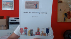 Capa de Diário Das Coisas Impossíveis - Paula Schiavon