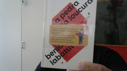 Capa de A Pedra Da Loucura - Benjamín Labatut