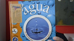 Capa de Água - Caramelo