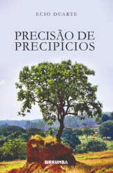 Capa de Precisão de Precipícios - Ecio Duarte
