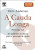 Capa do livro A cauda longa