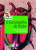 Capa do livro O escaravelho do diabo